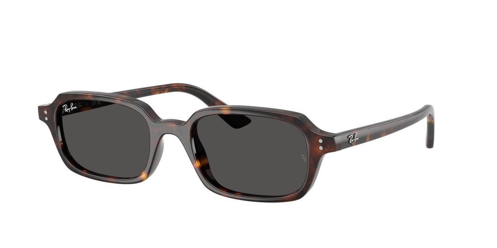 Ray-Ban 0RB4455 13598752